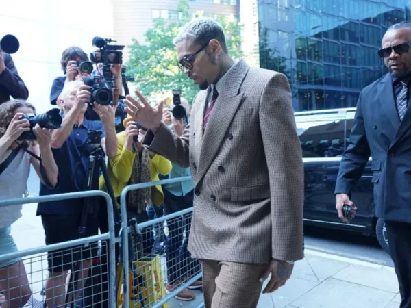 Chris Brown Pleads Not Guilty To More Assault Charges