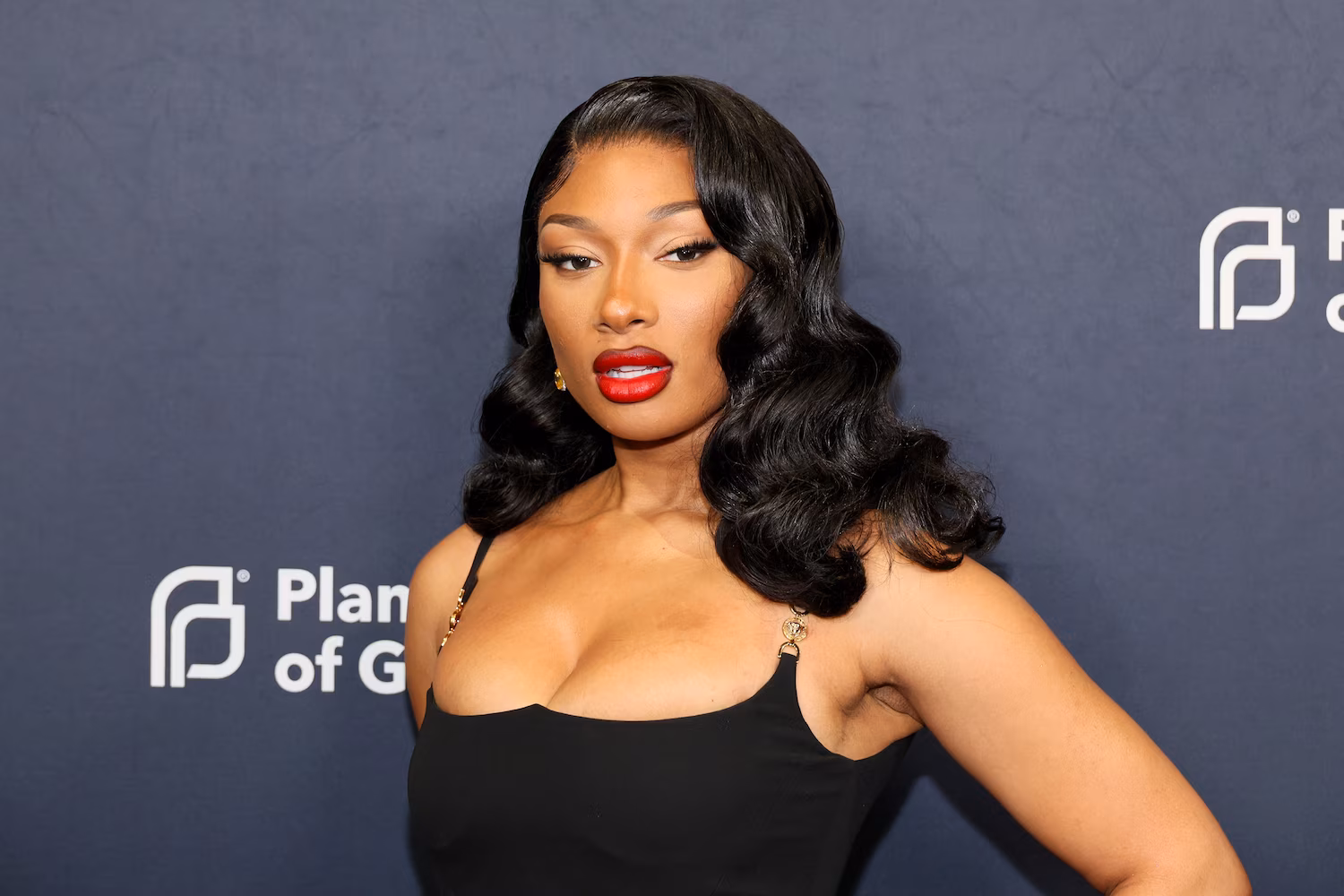 Judge Dismisses Defamation Ruling For Blogger In Megan Thee Stallion Lawsuit