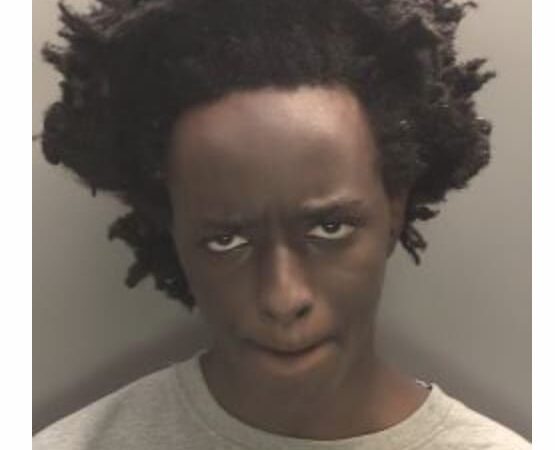 Public Inquiry Into Southport Attacks Publishes Initial Report